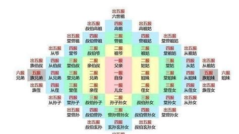 傳統意思|传统